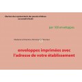 Recto enveloppes d'acheminement et d'identification élection conseil d'école avec adresse établissement couleur bulle