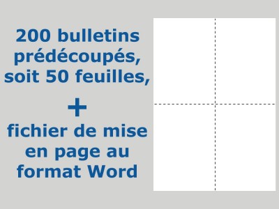 Bulletins de vote prédécoupés avec fichier de mise en page